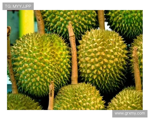 潇仔赛后回应雕刻家选择:战术考量与娱乐效果的平衡